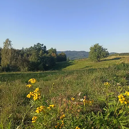 Zielone Wzgórze Komfortowy Klimatyzowany Z Balią Z Aeromasażem
