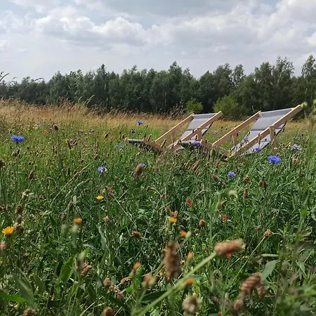 Zielone Wzgorze Komfortowy Klimatyzowany Z Balia Z Aeromasazem ロッジ