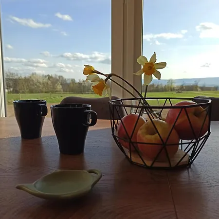 Zielone Wzgórze Komfortowy Klimatyzowany Z Balią Z Aeromasażem Alojamento de Turismo Selvagem Kłodzko