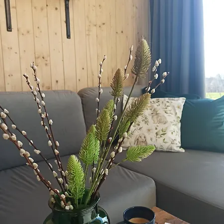 Zielone Wzgórze Komfortowy Klimatyzowany Z Balią Z Aeromasażem * Kłodzko