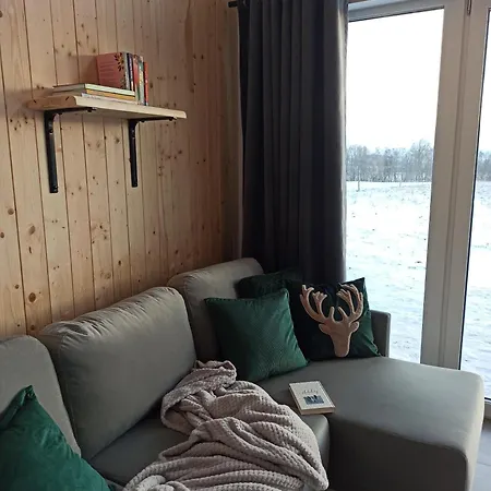 Zielone Wzgorze Komfortowy Klimatyzowany Z Balia Z Aeromasazem Domek letniskowy *