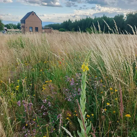 Zielone Wzgorze Komfortowy Klimatyzowany Z Balia Z Aeromasazem * クウォツコ