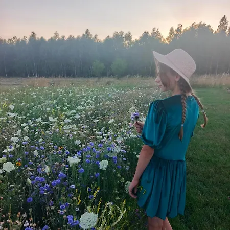 Zielone Wzgorze Komfortowy Klimatyzowany Z Balia Z Aeromasazem *