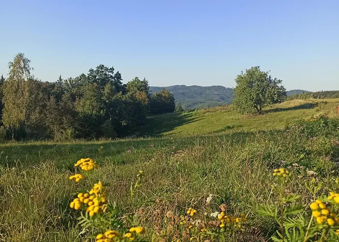 Zielone Wzgorze Komfortowy Klimatyzowany Z Balia Z Aeromasazem