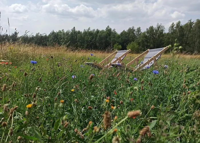 Zielone Wzgorze Komfortowy Klimatyzowany Z Balia Z Aeromasazem Hytte