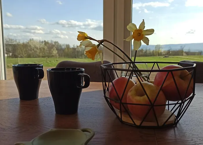 Zielone Wzgorze Komfortowy Klimatyzowany Z Balia Z Aeromasazem Hytte Kłodzko