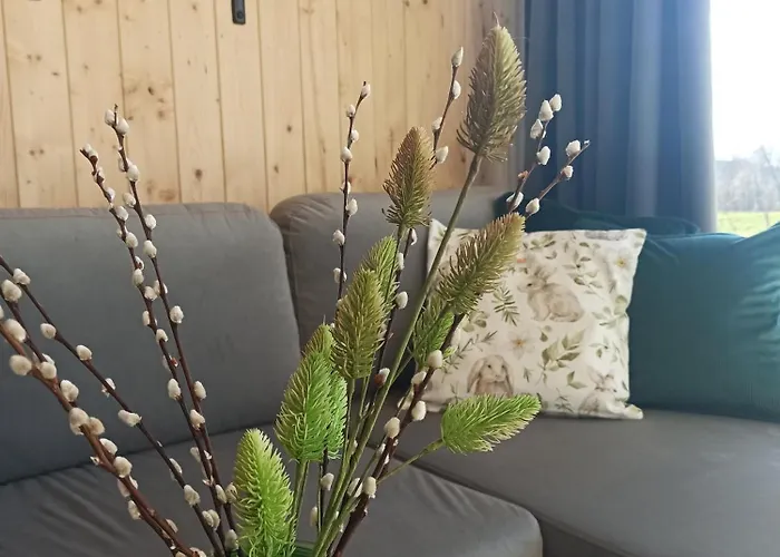 Zielone Wzgorze Komfortowy Klimatyzowany Z Balia Z Aeromasazem * Kłodzko