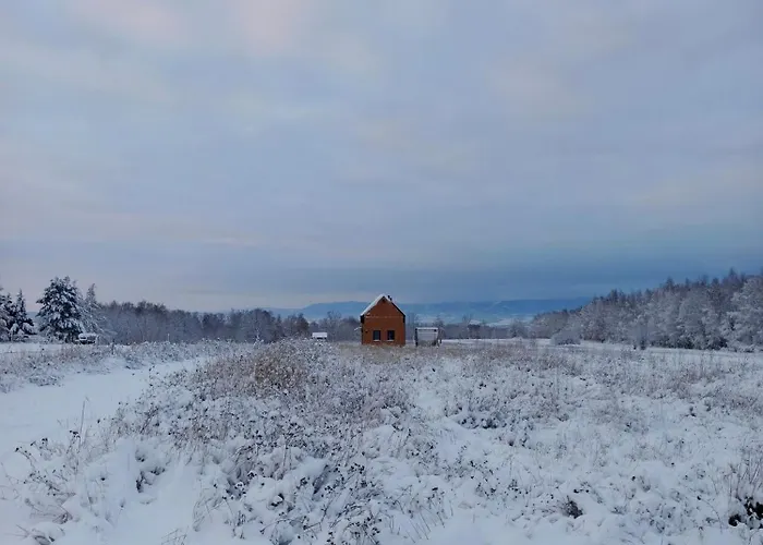 Zielone Wzgorze Komfortowy Klimatyzowany Z Balia Z Aeromasazem *